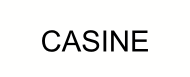 CASINE