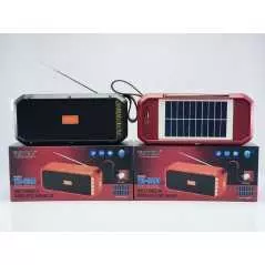 Radio Wster WS-5390 FM USB TF Card avec Torche