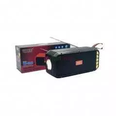 Radio Wster WS-5390 FM USB TF Card avec Torche