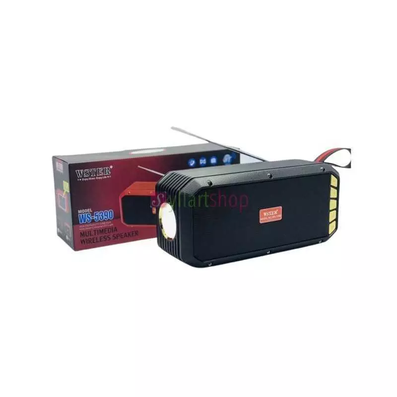 Radio Wster WS-5390 FM USB TF Card avec Torche