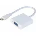 Adaptateur mini HDMI vers VGA - 0.20m