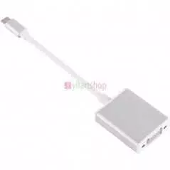 Adaptateur vidéo USB 3.1 de type C à VGA Convertisseur mâle Silver