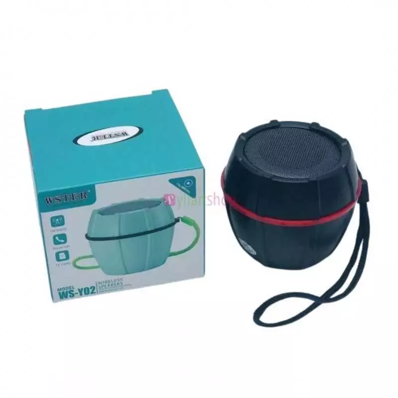Mini enceinte stéreo WSTER WS-Y02
