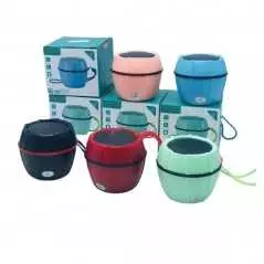 Mini enceinte bluetooth portable WSTER WS-Y02