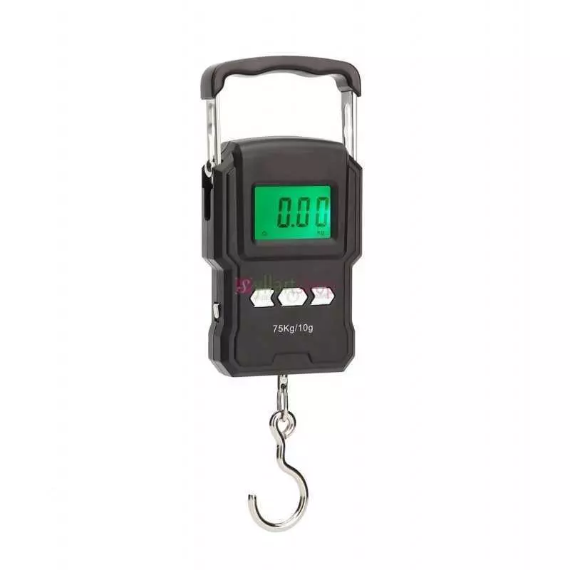 Balance numérique 75kg/10g avec ruban à mesurer 100cm, Balance électronique à main pour la pêche, bagages voyage poids Balance