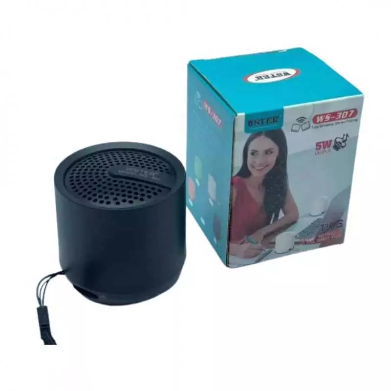 Enceinte bluetooth portable WSTER WS-307