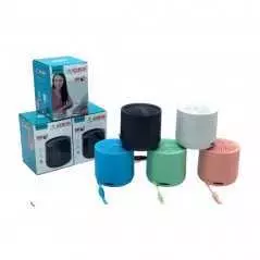 Enceinte bluetooth portable WSTER WS-307