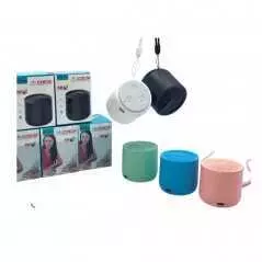 Enceinte bluetooth portable WSTER WS-307