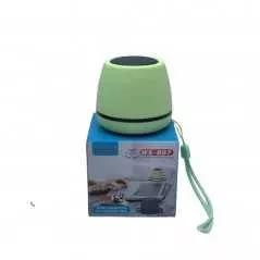Enceinte Bluetooth /TF/AUX/FM/ portable WSTER WS-807