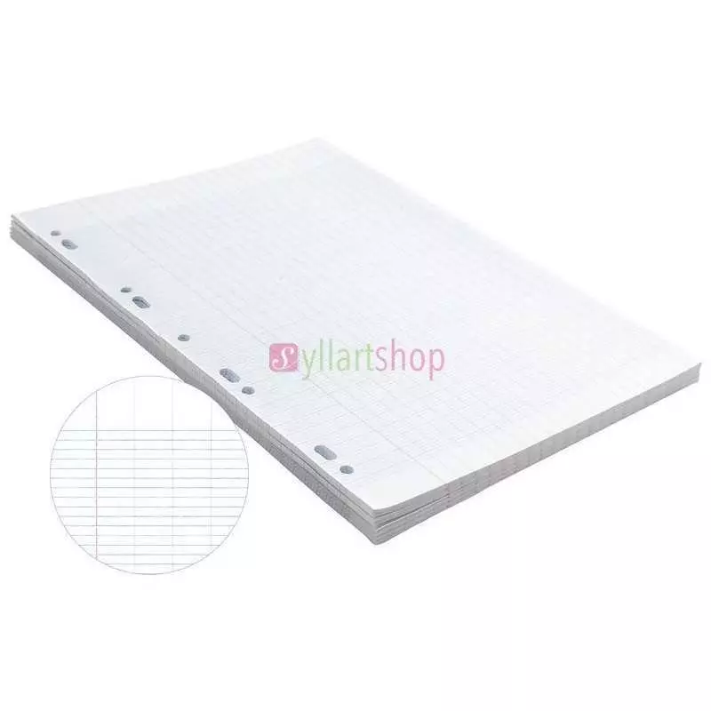 Copies doubles 100 pages perforées 21x29,7 cm 60g quadrillage reglure Séyès