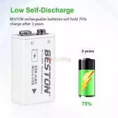 Batterie rechargeable au lithium-ion BESTON USB 9v 650mAh