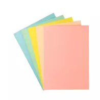 Paquet de 250 sous-chemises