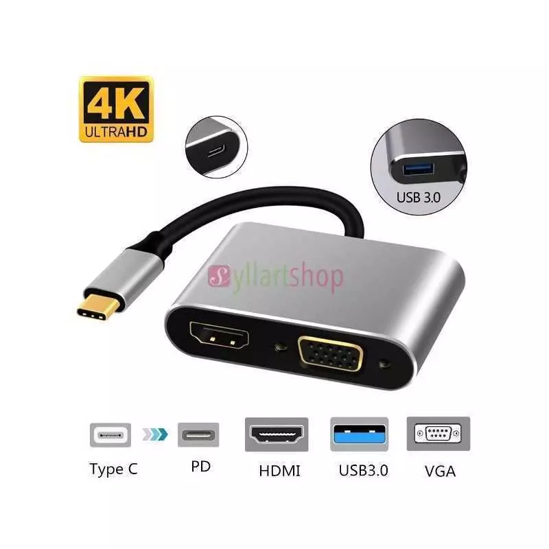 Hub USB Type-C vers HDMI et VGA | Convertisseur 2-en-1 | Ultra HD 4K