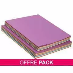 Paquet de 100 chemises cartonnées