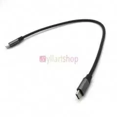 Cable USB-C type-c 3.1 mâle vers mâle pour tablette, téléphone et disque dur