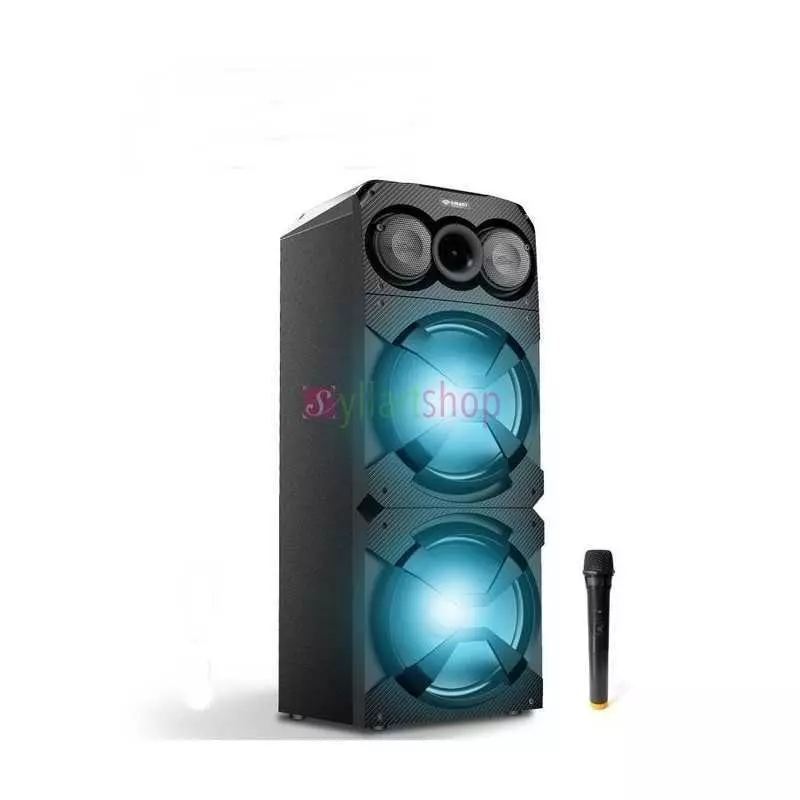 Haut parleur multimédia BARAKA BRK-P12 – Radio FM – Port USB + Microphone