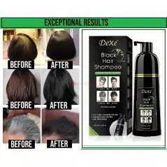 Shampooing instantané aux herbes pour cheveux noirs pour hommes et femmes 400ml