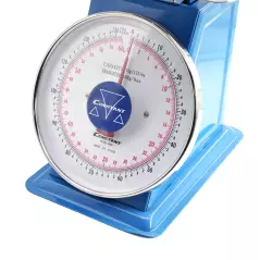 Balance à ressort en fer inoxydable simple 60kg 200g LBS précision