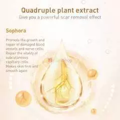 Gel d'élimination des cicatrices et des marques d'acné LANBENA LB6221