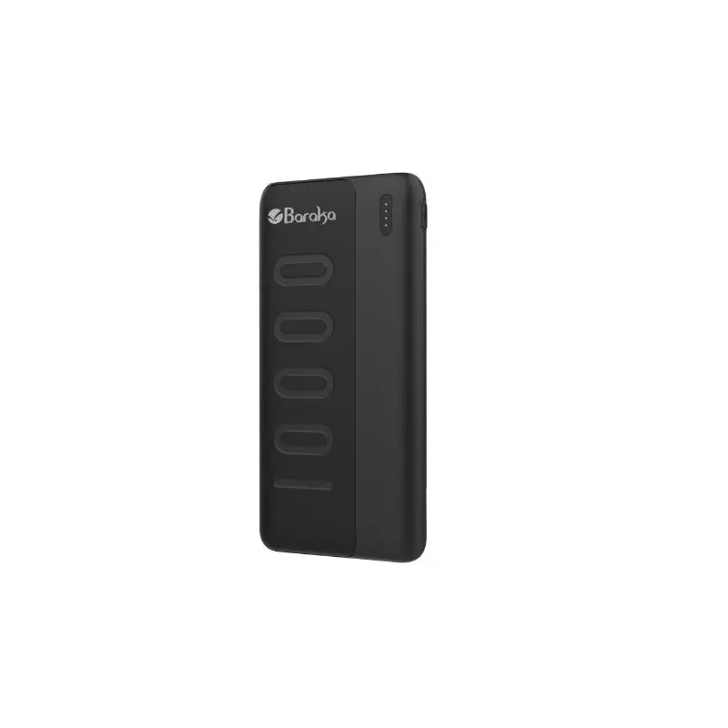 Power Bank 10000mAh Noir Avec 1 Entrée Micro/Type-C Et 2 Sorties USB