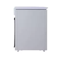 Congélateur horizontal LG GCS315SQFG 280 litres silver