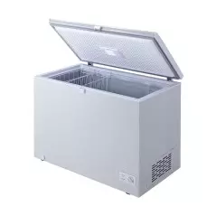 Congélateur horizontal LG GCS315SQFG 280 litres silver