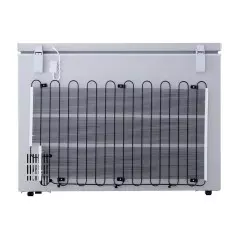 Congélateur horizontal LG GCS315SQFG 280 litres silver