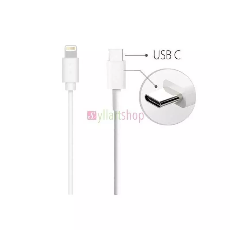 Câble de charge Apple USB-C vers Lightning