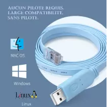 Console Câble USB Série Vers RS232 RJ45 pour Routeurs Microphones Moniteurs 1.8m