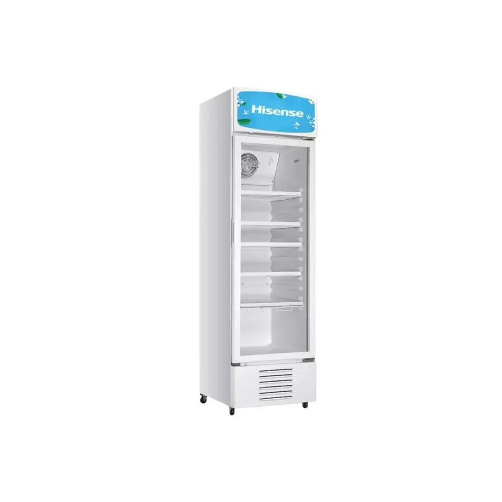 Réfrigérateur Hisense FL-50FC 382L | Vitrine Réfrigérée Commerciale XXL