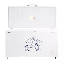 Hisense FC-55DD4SA : Congélateur Coffre Ultra-Large 550 Litres
