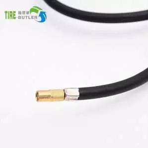 Mini pompe à pneus multifonctions portable portable 220V