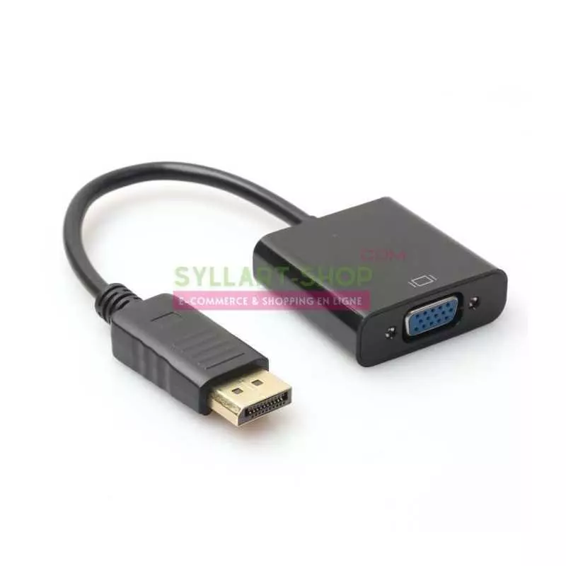 Adaptateur DisplayPort vers VGA